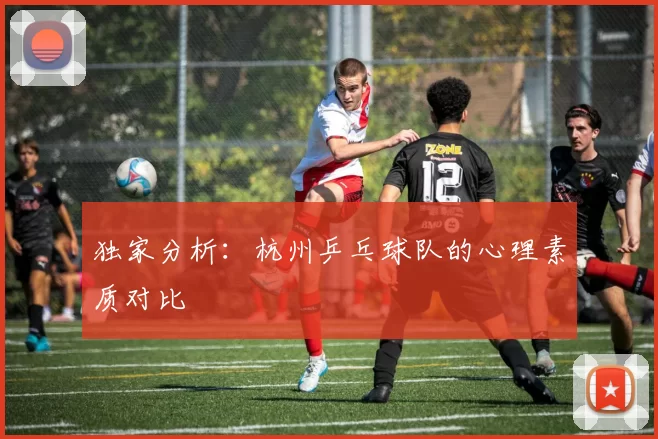 独家分析：杭州乒乓球队的心理素质对比