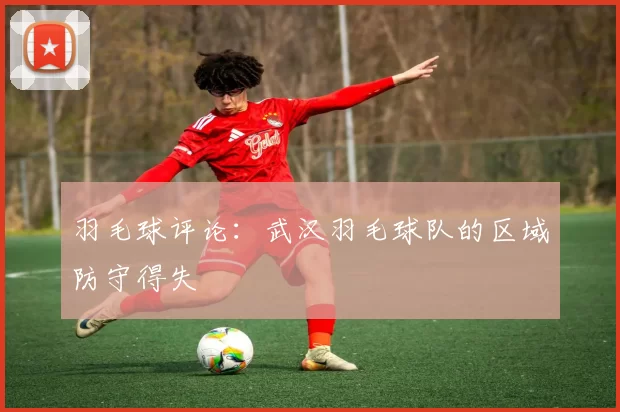 羽毛球评论：武汉羽毛球队的区域防守得失