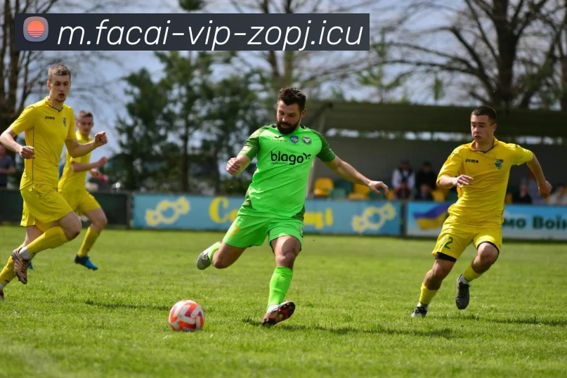 乐鱼体育平台生态图