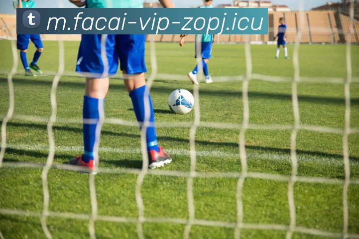 乐鱼体育全站App